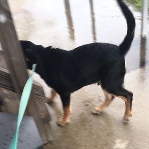 Meet your Posher, Mackenzie