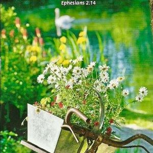 Meet your Posher, Joyce