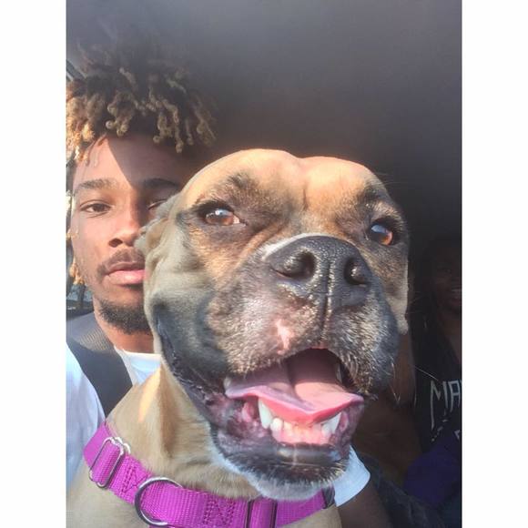 Meet your Posher, Freddo - Picture 1 of 1