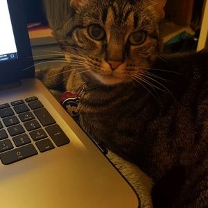 Meet your Posher, Mariah