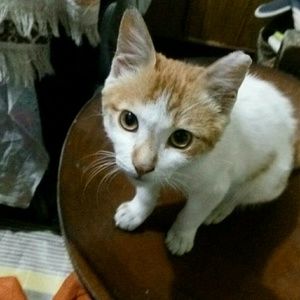 Meet your Posher, Tesfaye12