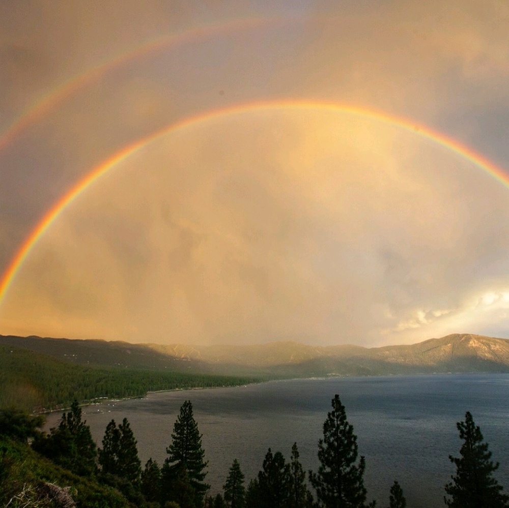 Meet your Posher, Jade