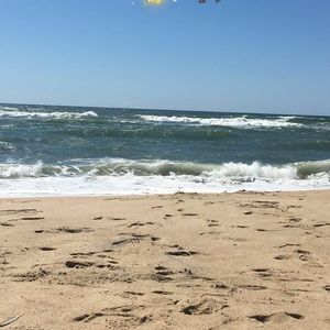 Meet your Posher, Callie