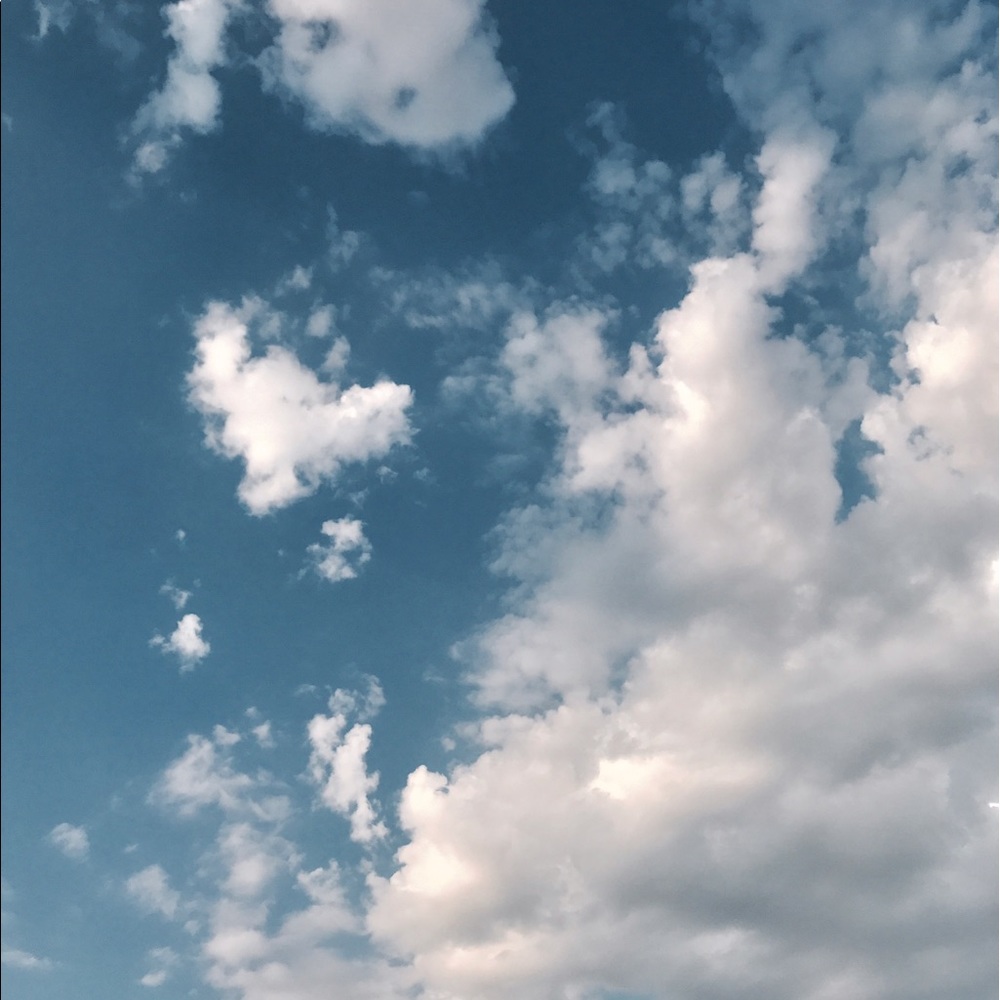 Meet your Posher, Sam