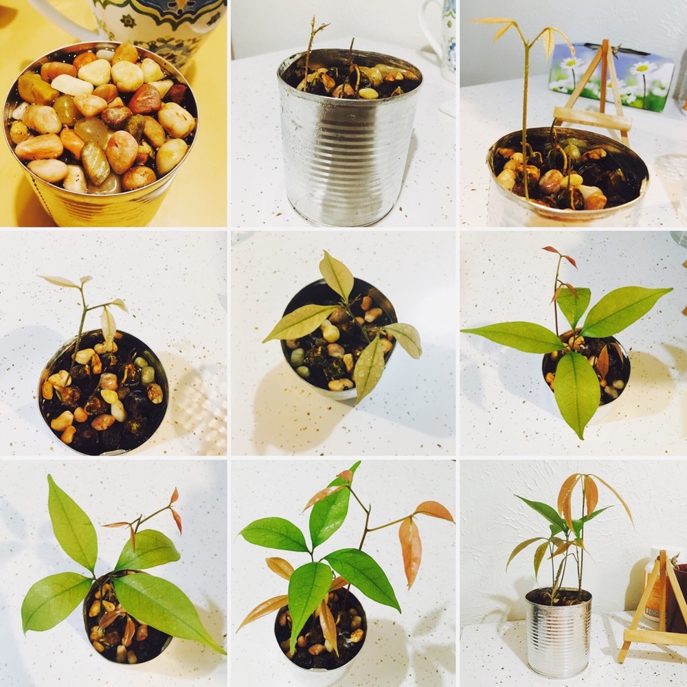 Meet your Posher, Amber