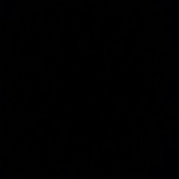 Meet your Posher, Ben - Picture 1 of 1