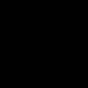 Meet your Posher, Ben