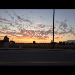 Meet your Posher, Leo