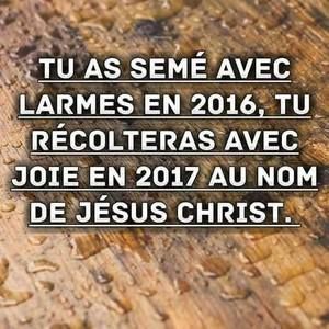 Meet your Posher, Rose