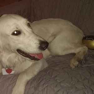 Meet your Posher, Cecilia