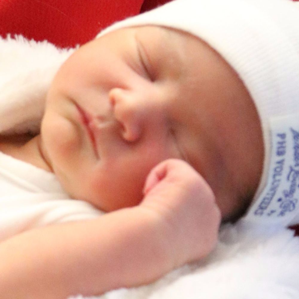 Meet your Posher, Sylvia