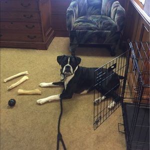 Meet your Posher, Debra