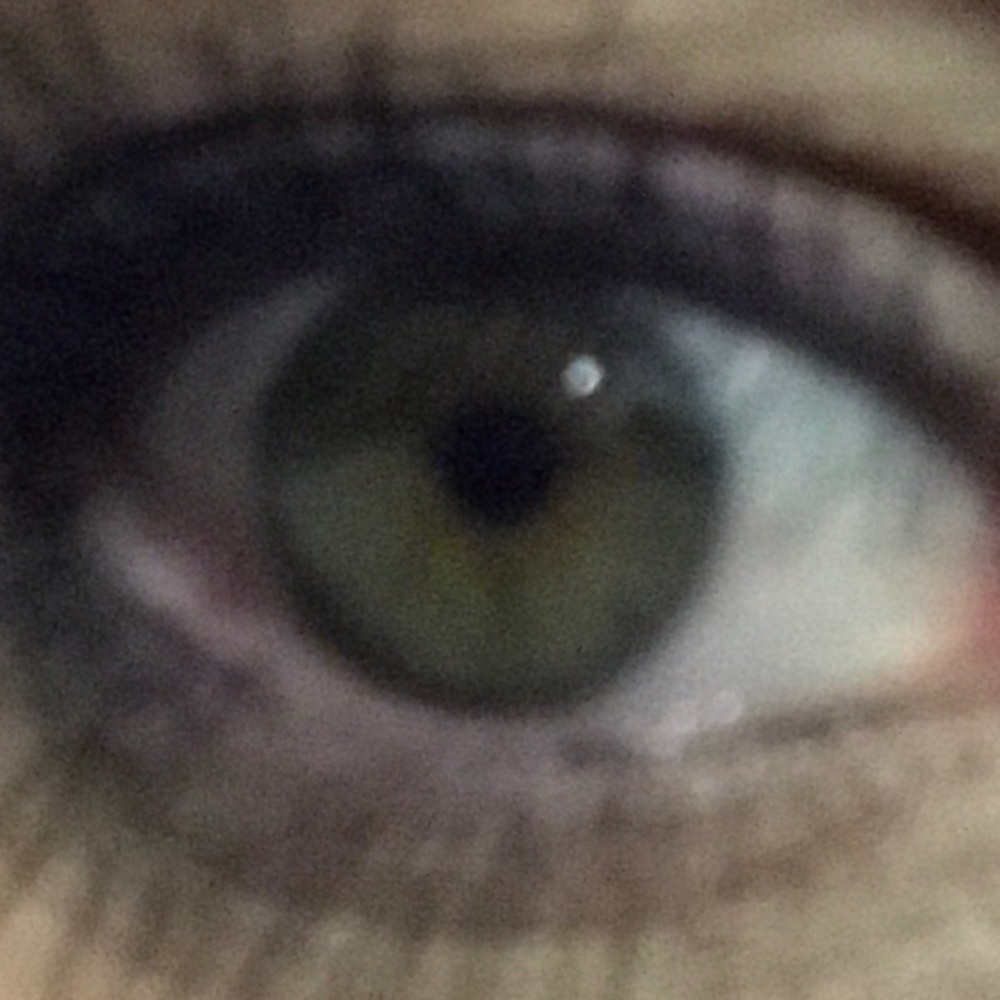 Meet your Posher, Tisha