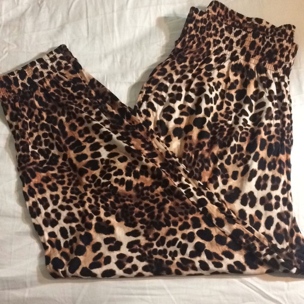 H&M Harem (Genie) Pants
