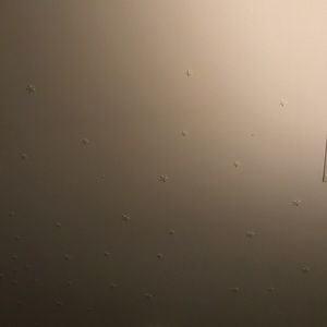 Meet your Posher, Benjamin