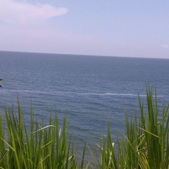 Meet your Posher, Gloria - Picture 1 of 1