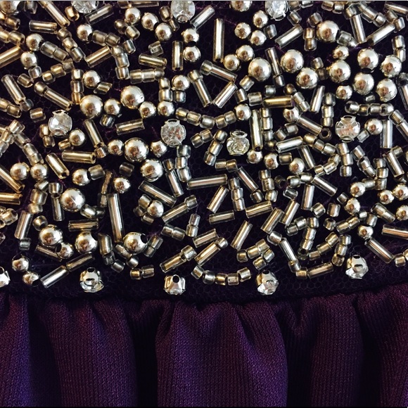 Plum Purple Dress - Beaded Empire Waist Dress - Picture 2 of 7