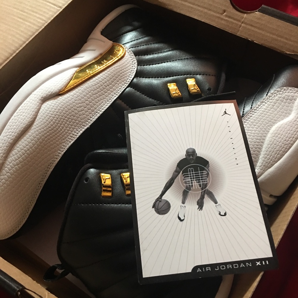 Air Jordan Retro 12 "Wings" Sz 10
