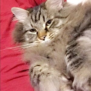 Meet your Posher, Corrine