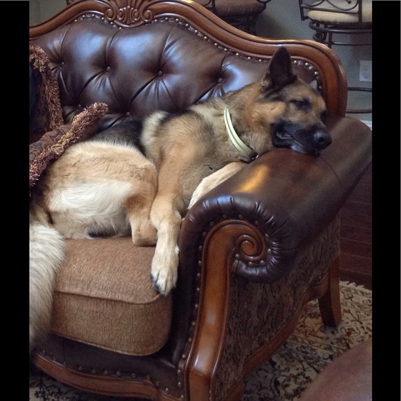 Meet your Posher, Myra - Picture 1 of 1