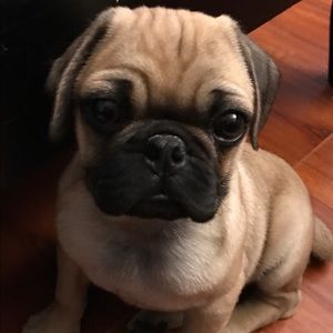 Meet your Posher, Richard