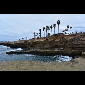 Meet your Posher, Zachary