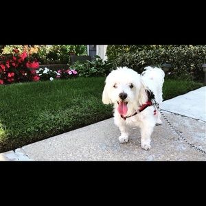 Meet your Posher, Angela