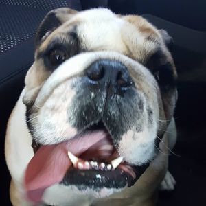 Meet your Posher, Zach