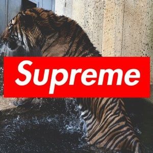 Meet your Posher, Oscar