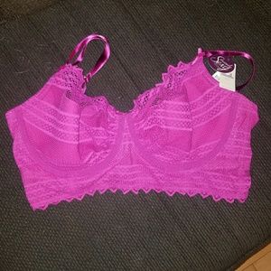 lane bryant sexy bra