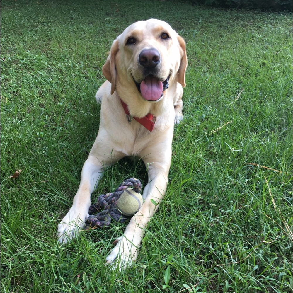 Meet your Posher, Jennifer