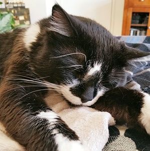 Meet your Posher, Vicki