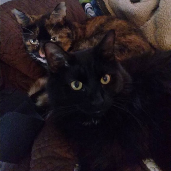 Meet your Posher, Jessica - Picture 2 of 2