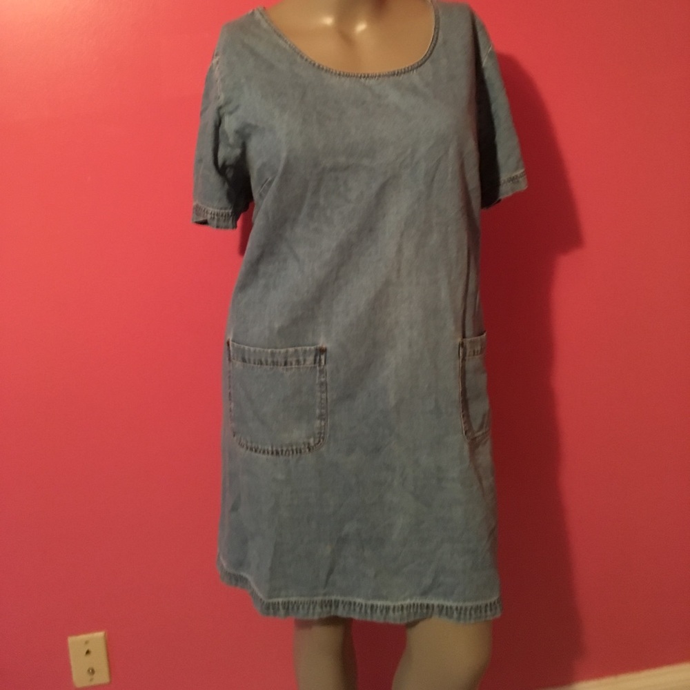 Denim Jean Dress with open pockets