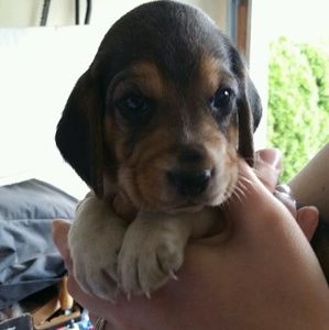 Meet your Posher, Michelle