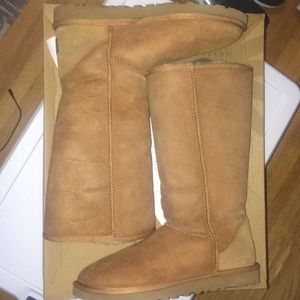 Ugg Classic Tall Boots