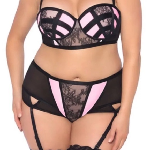 Oh La La Cheri Other - Plus 2X Bra & Garter Panty Set. Pink Black Lace