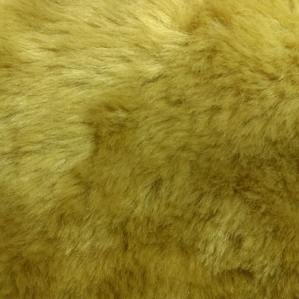 Meet your Posher, Jill