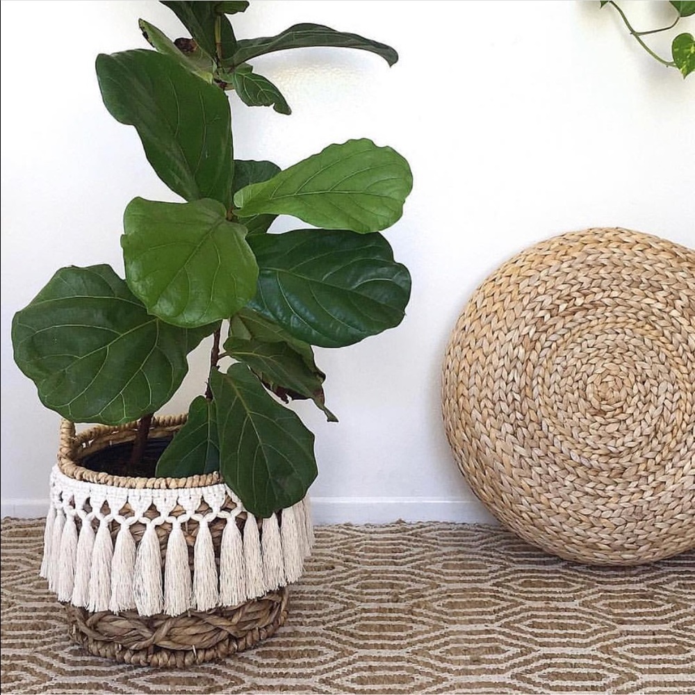 Meet your Posher, Haute