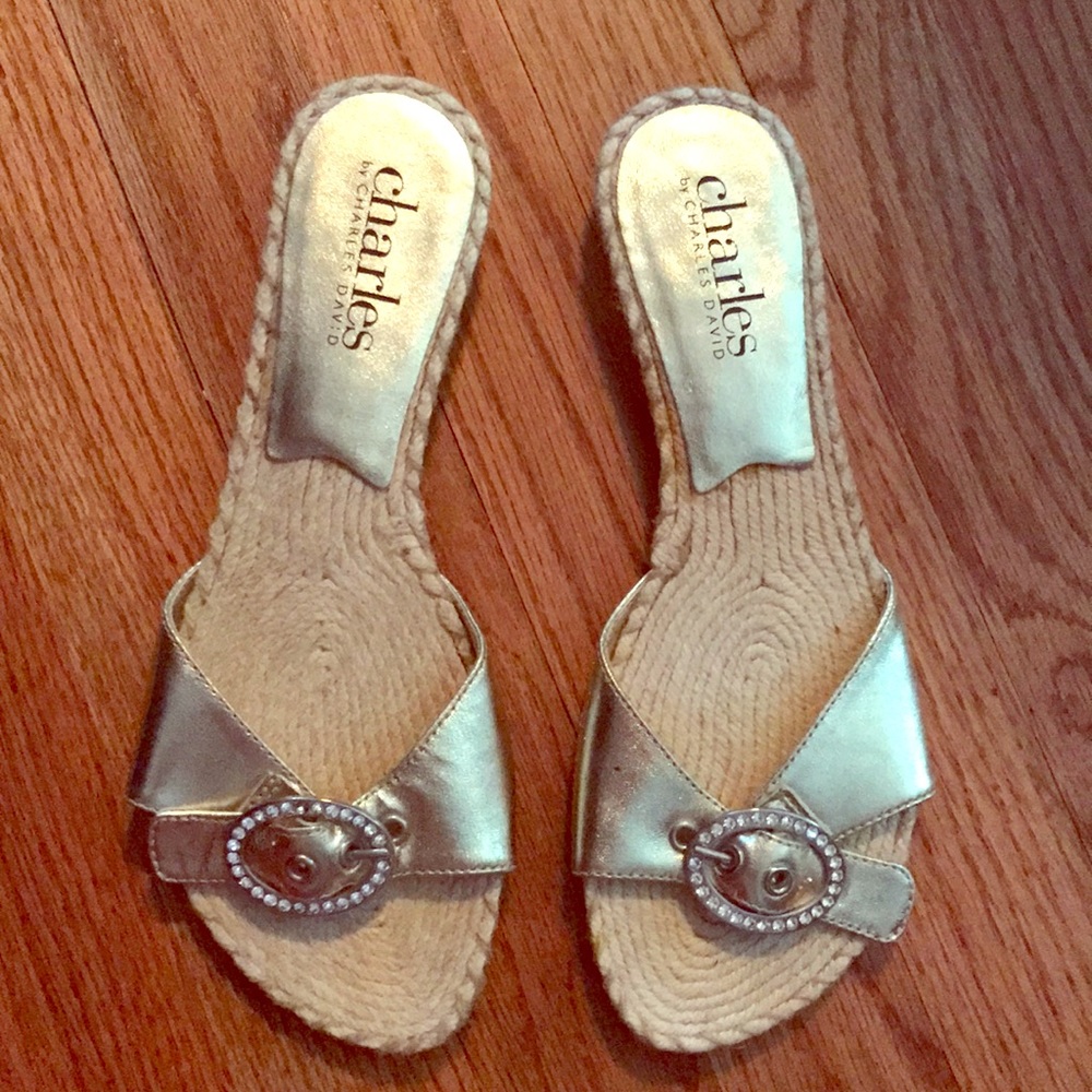 Charles David flat sandals