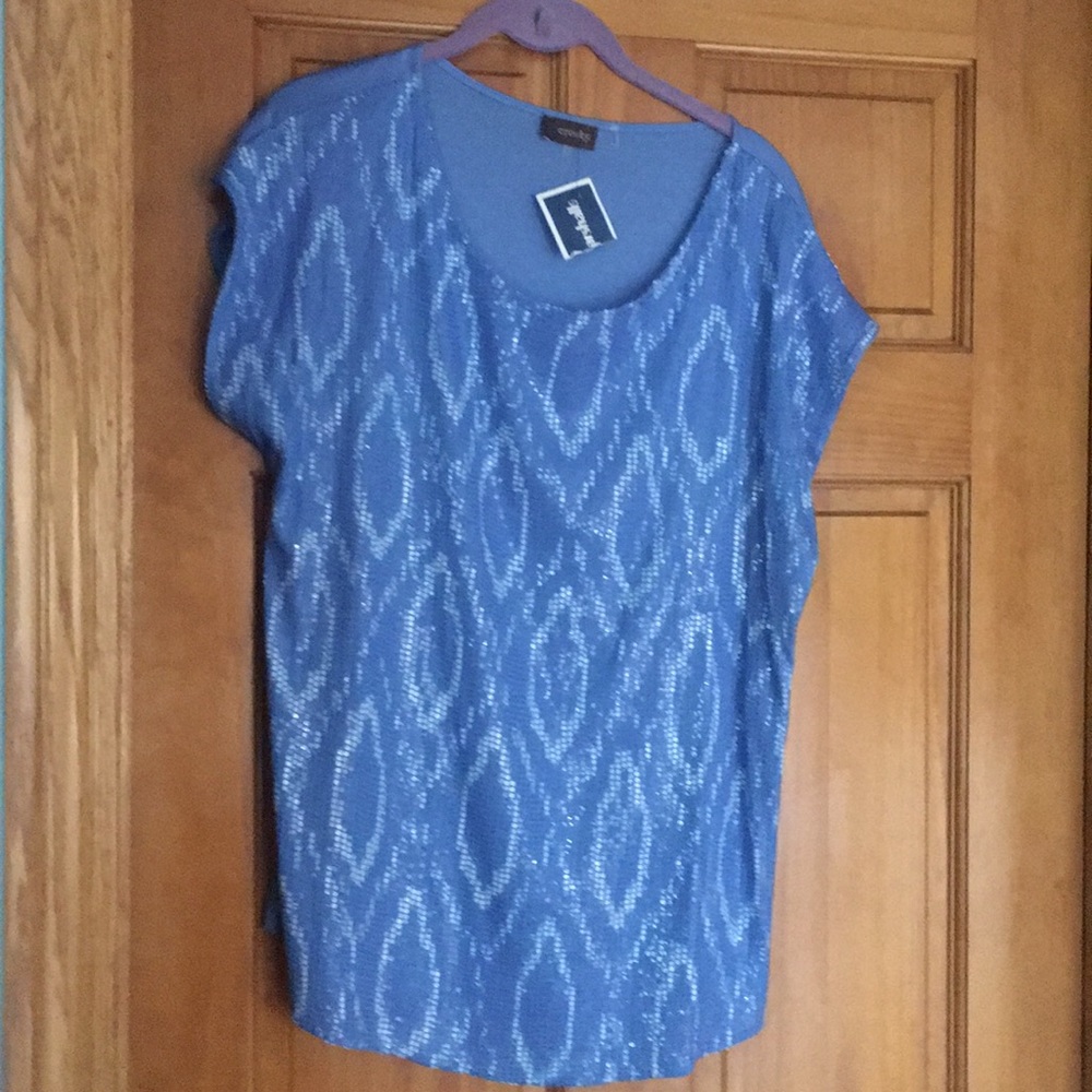 Pretty blue shimmery top
