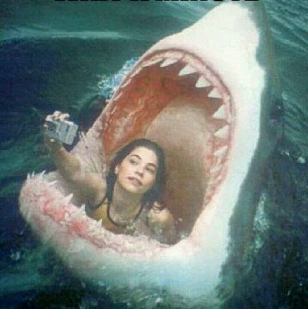 Meet your Posher, Mickey