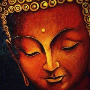 Meet your Posher, Krina