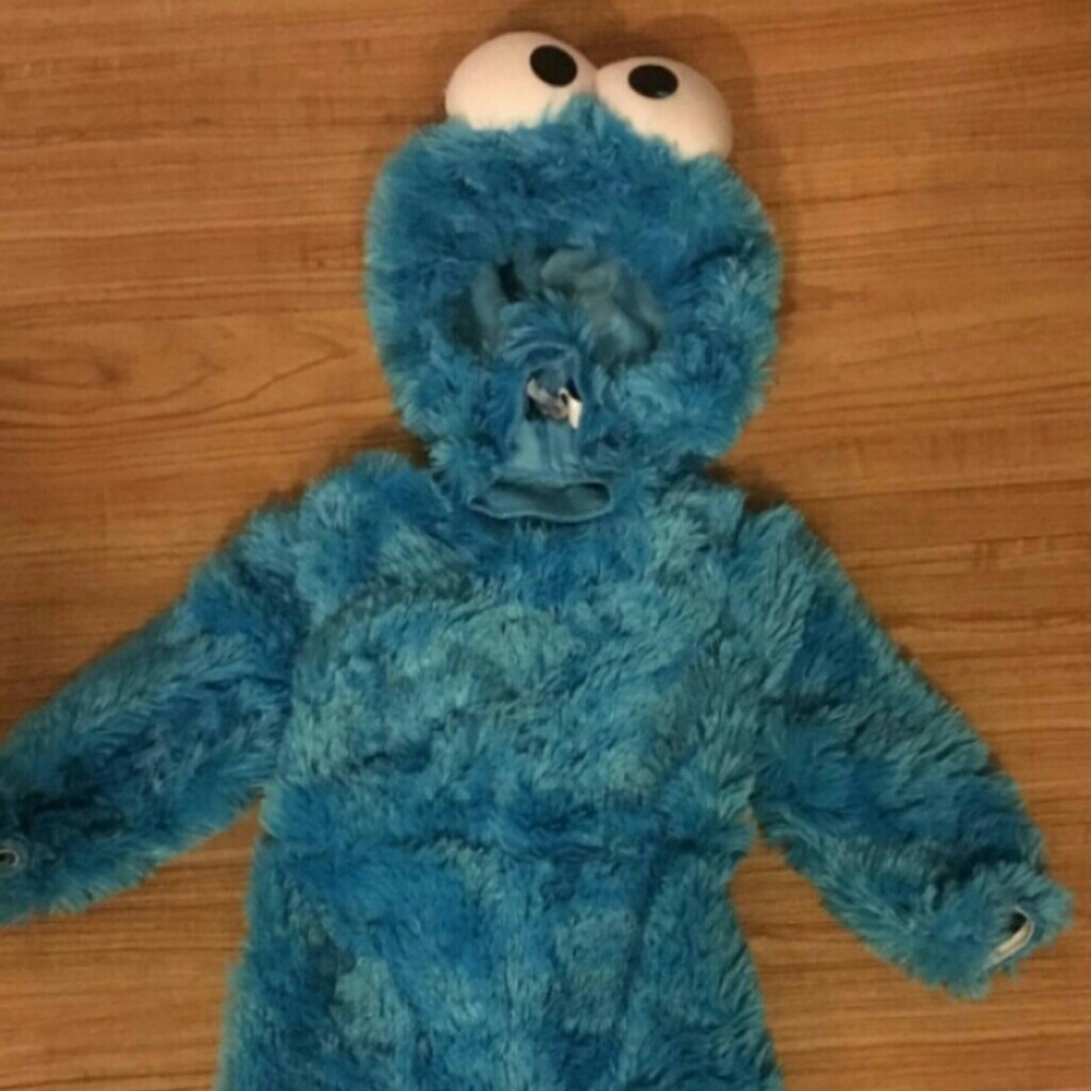 Cookie Monster Halloween costume