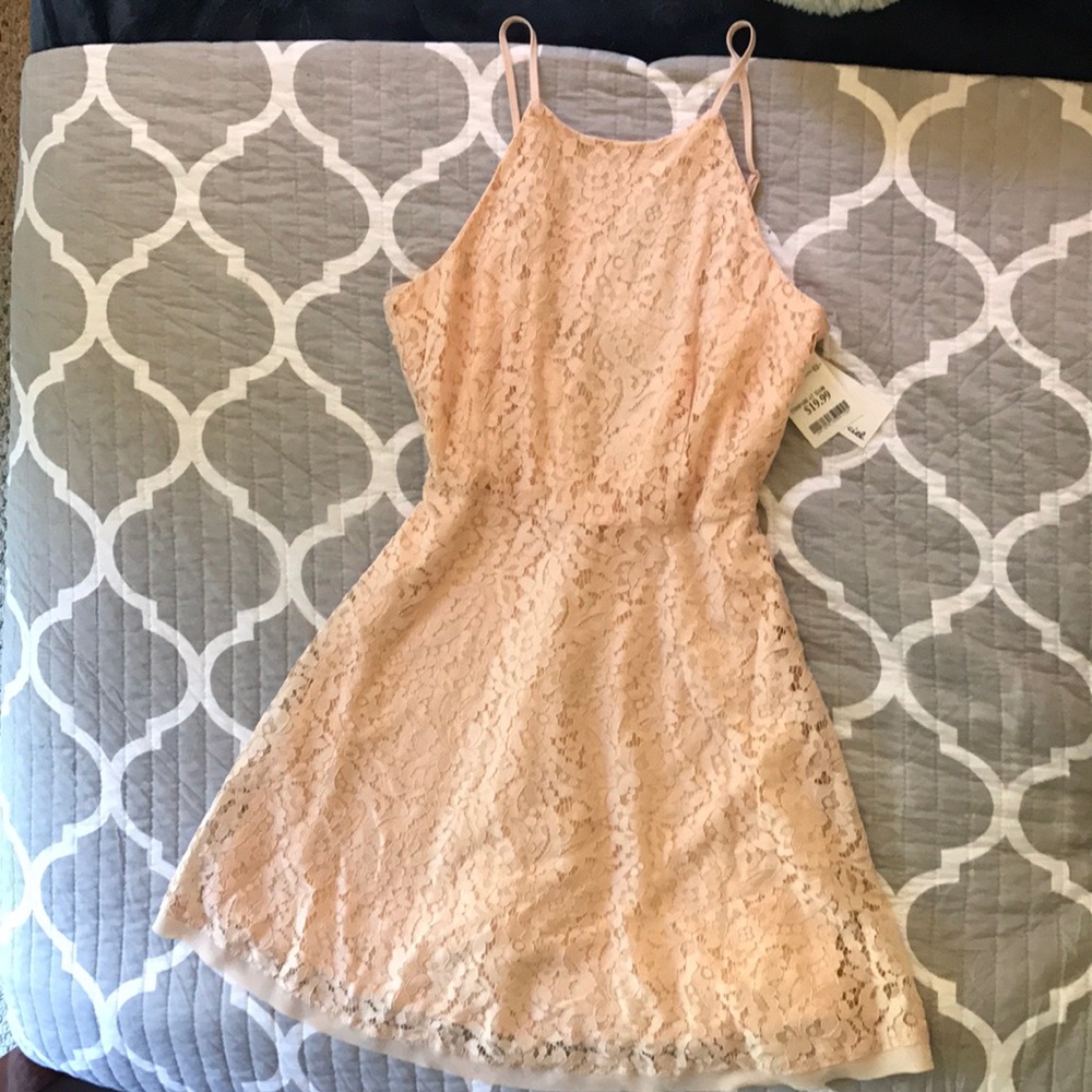 NWT high neck lace fit and flare dress