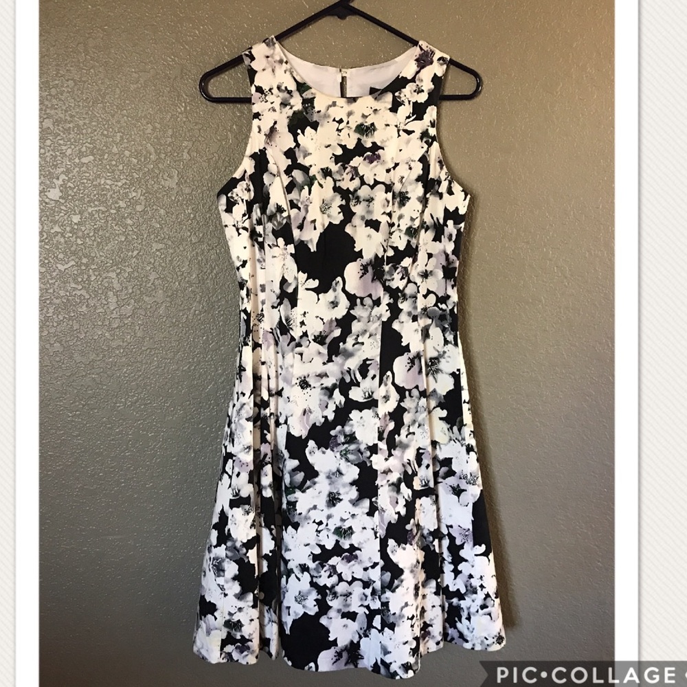 Black and white with grey dress with crinoline!