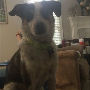 Meet your Posher, Donna