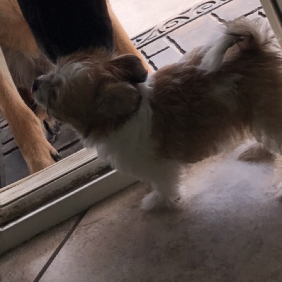 Meet your Posher, Grecia - Picture 1 of 1