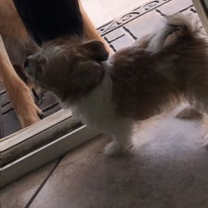 Meet your Posher, Grecia