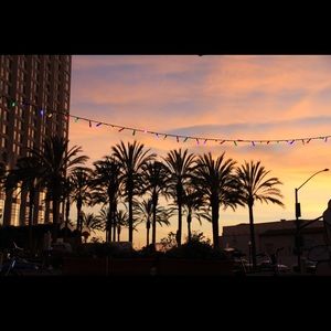 Meet your Posher, Lindsay